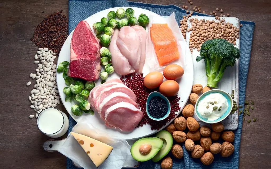Refeição rica em proteína para ganhar músculo nas pernas Refeição rica em proteína para ganhar músculo nas pernas